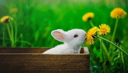 宁夏伴游,定制QQ:3494206190微信:act1322